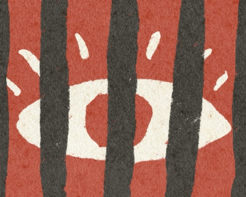 From Privacy Barriers to Secure Access